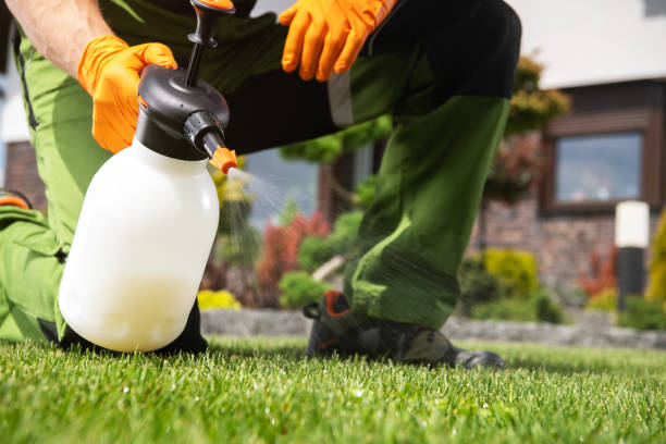Reliable The Crossings, FL Pest Control Solutions