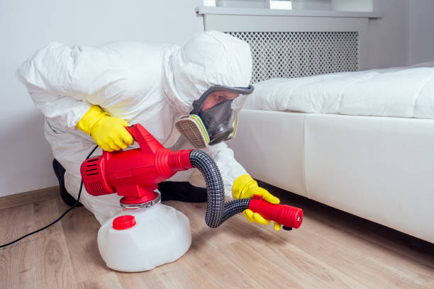 Flea Control Services in The Crossings, FL