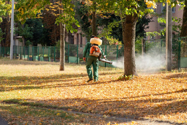 Best Commercial Pest Control Services  in The Crossings, FL
