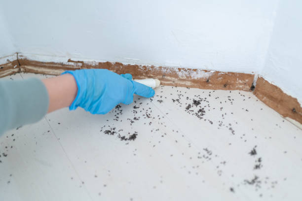 Best Pest Prevention Services  in The Crossings, FL